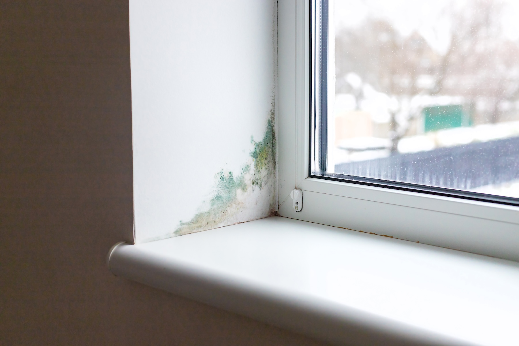 Condensation and early mold growth on a basement window in a Memphis home