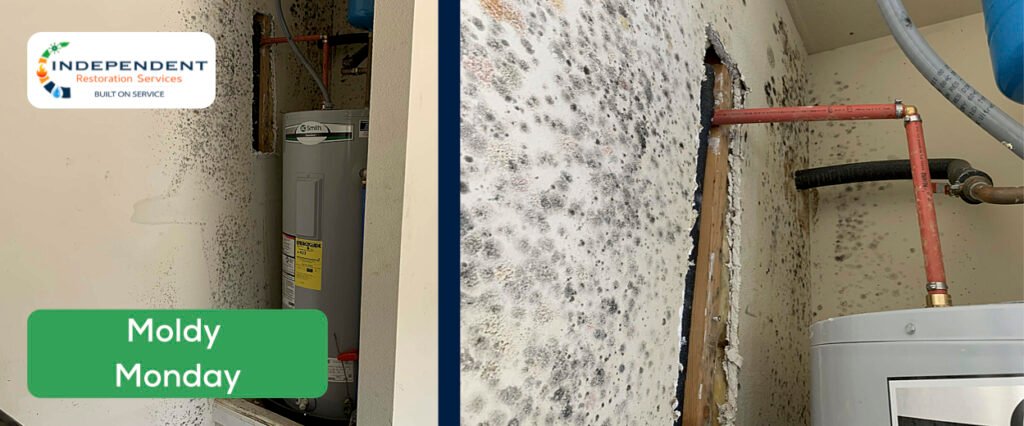 This image shows severe mold growth surrounding a water heater due to a burst pipe - Independent Restoration Services