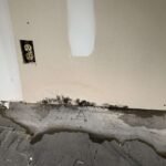 significant floor and wall mold caused by flooding - Independent Restoration Services - Built On Service - Steps to mold removal - water emergency - water damage - mold - mold prevention - water emergency Restoration - mold remediation - West Tennessee