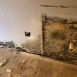 significant floor and wall mold behind dishwasher - Independent Restoration Services - Built On Service - Steps to mold removal